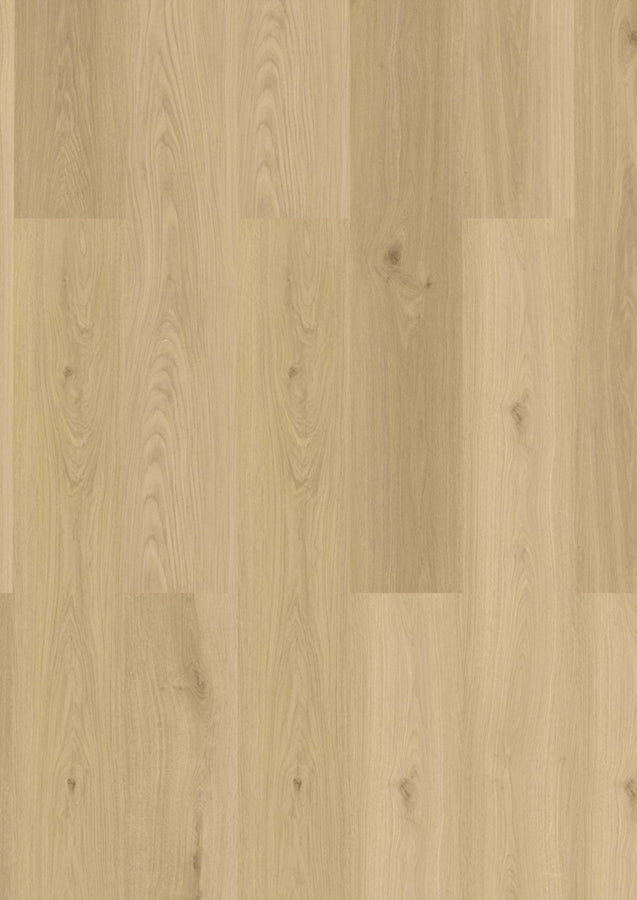 Klebe-Vinyl Baienbach Eiche – Lang- & Breitdiele