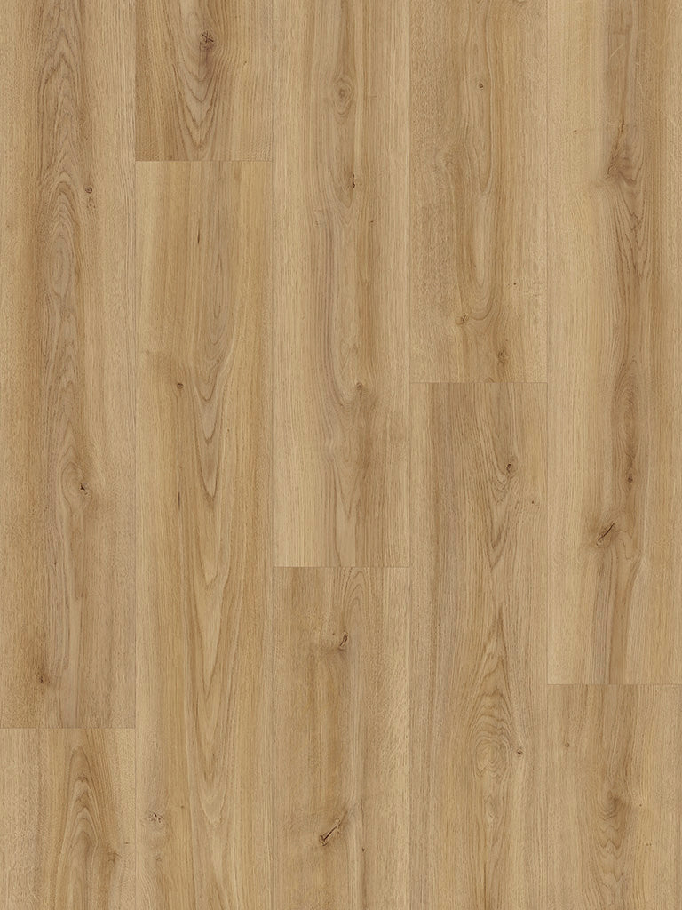 Laminat Vesuv Eiche – Breitdiele 8 mm