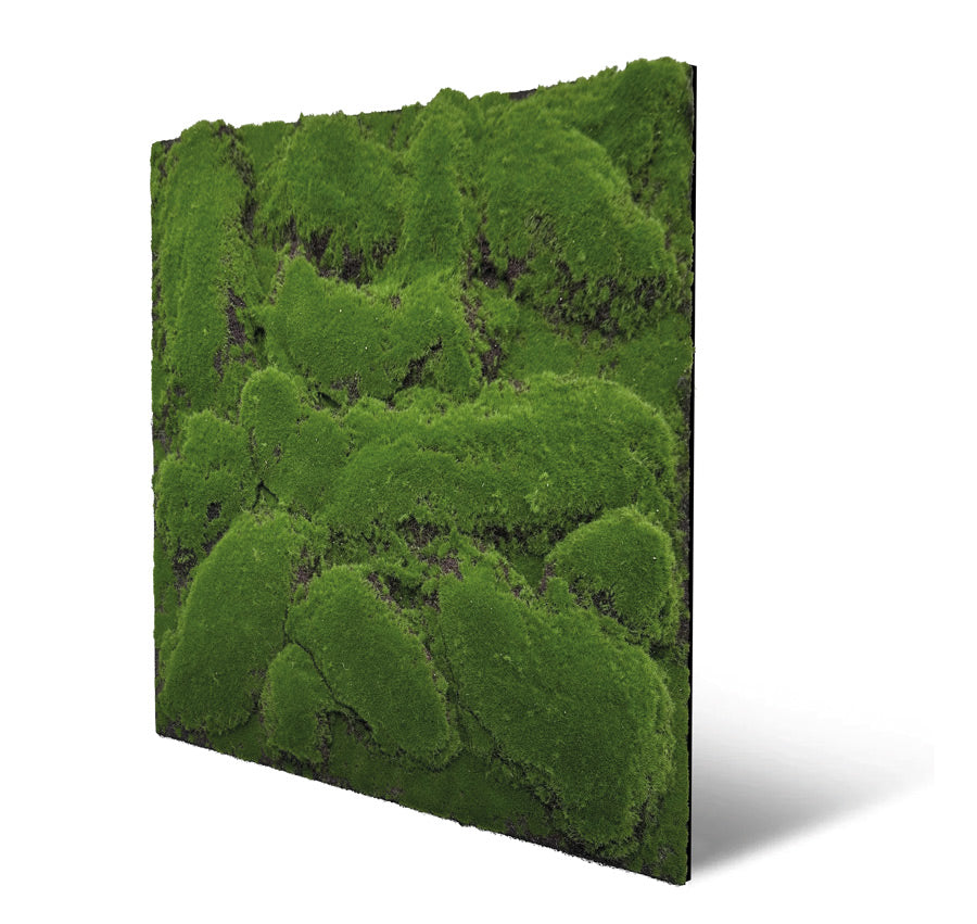 Moos-Wandpaneel Forest Green Big Bulk – modular, 52 × 52 cm