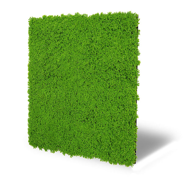 Moos-Wandpaneel Lime Green – modular, 52 × 52 cm