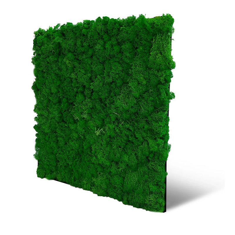 Moos-Wandpaneel Nature Green – modular, 52 × 52 cm