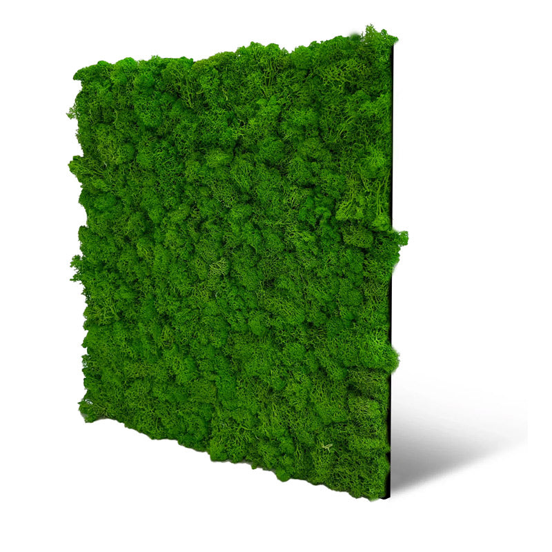 Moos-Wandpaneel Rich Green – modular, 52 × 52 cm