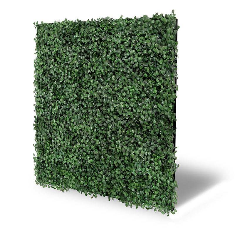 Pflanzen-Wandpaneel Dark Green Design Buxus – modular, 52 × 52 cm