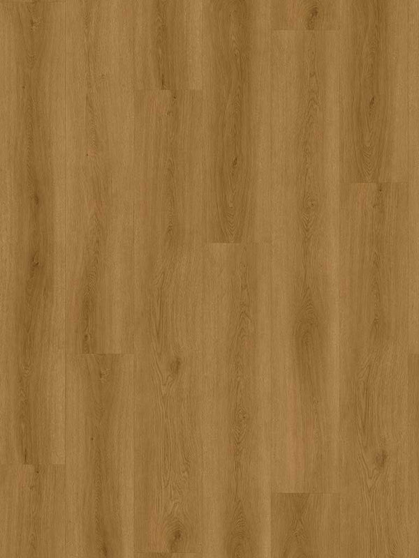 Klebe-Vinyl Albera Eiche – Lang- & Breitdiele