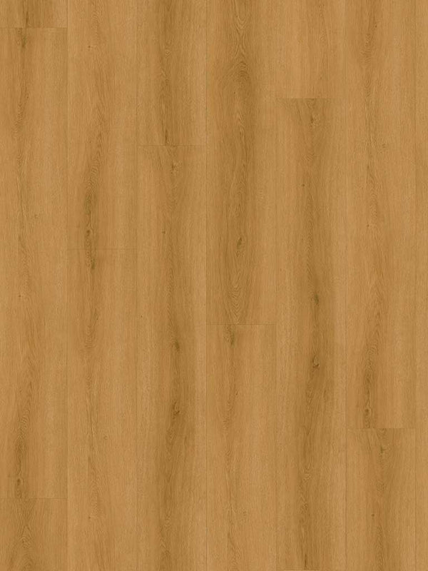 Klebe-Vinyl Tordera Eiche – Lang- & Breitdiele