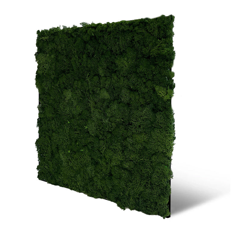 Moos-Wandpaneel Dark Green – modular, 52 × 52 cm