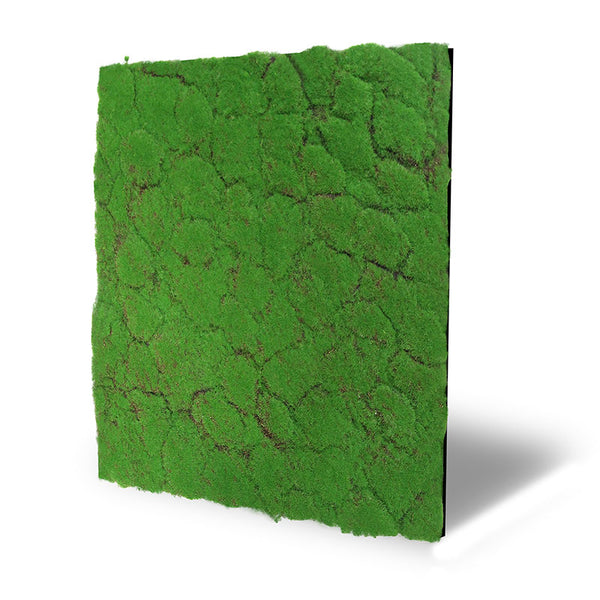 Moos-Wandpaneel Forest Green – modular, 52 × 52 cm
