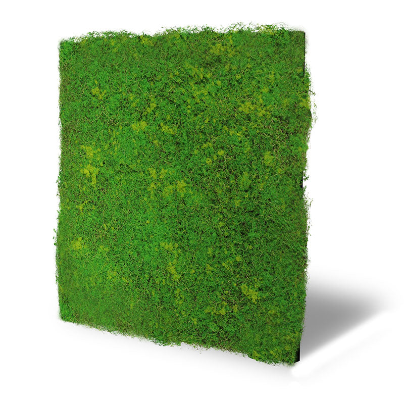 Moos-Wandpaneel Light Green Fibre – modular, 52 × 52 cm