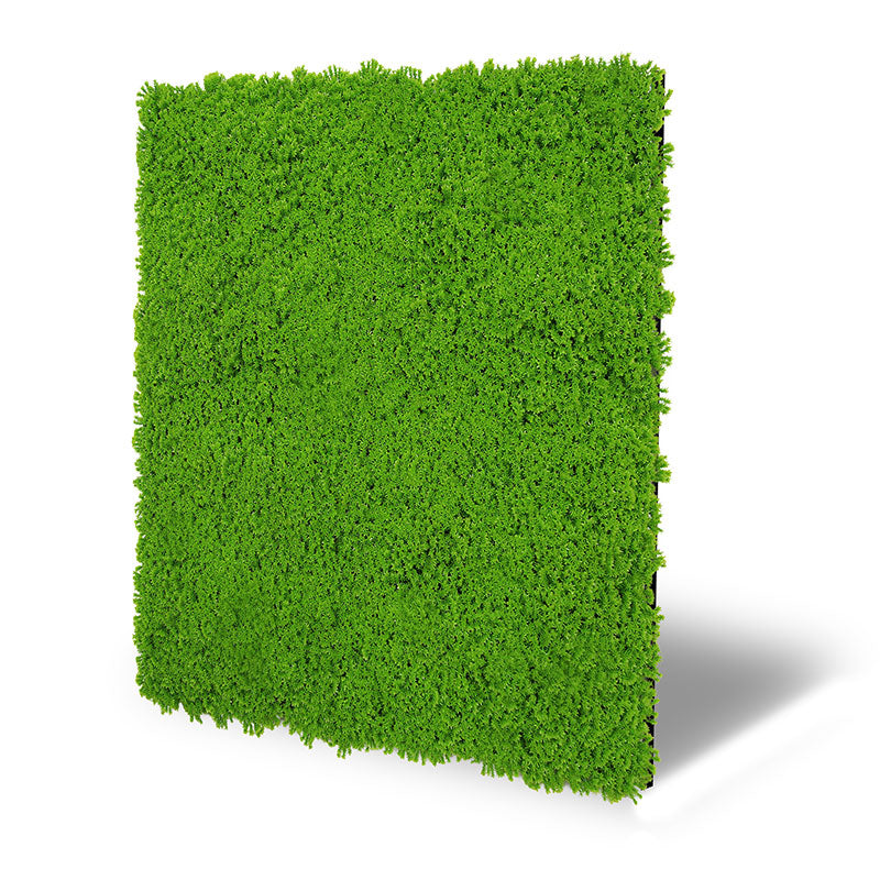 Moos-Wandpaneel Lime Green – modular, 52 × 52 cm