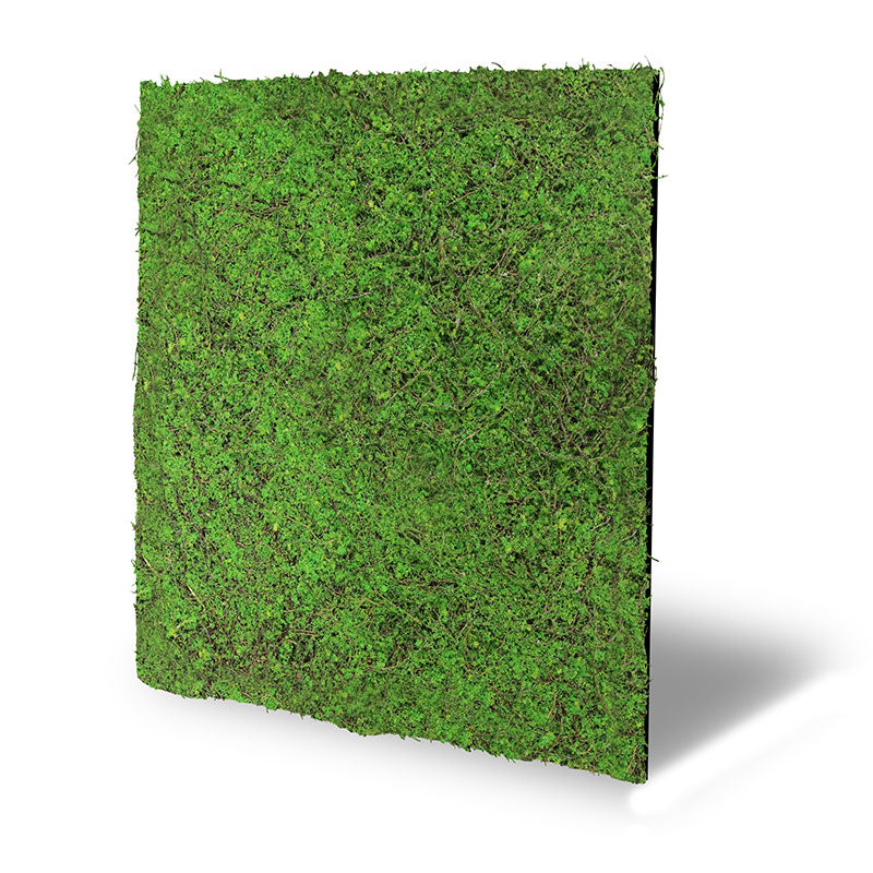 Pflanzen-Wandpaneel Forest Green Ancient Tree – modular, 52 × 52 cm