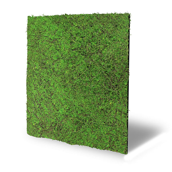 Pflanzen-Wandpaneel Forest Green Ancient Tree – modular, 52 × 52 cm