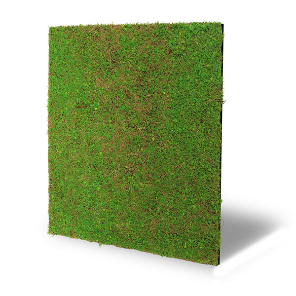 Pflanzen-Wandpaneel Light Green Coconut – modular, 52 × 52 cm