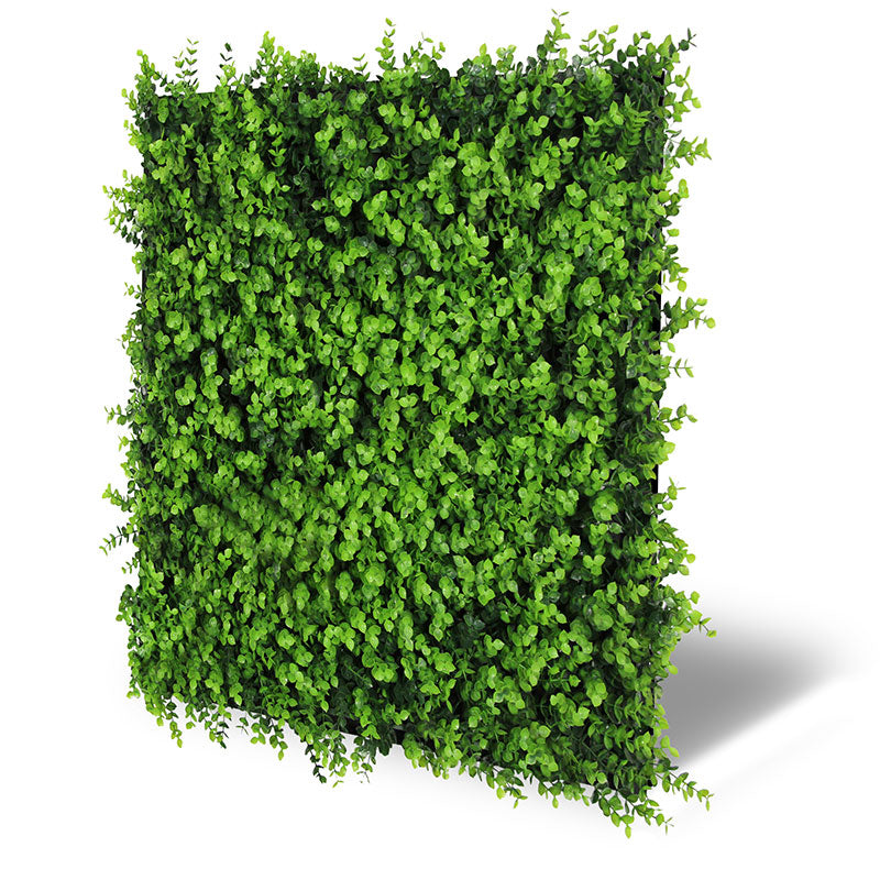 Pflanzen-Wandpaneel Mixed Green Design Buxus – modular, 52 × 52 cm